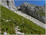 Planina Blato - Vodnikov Vršac (Vršac nad Zadnjico)